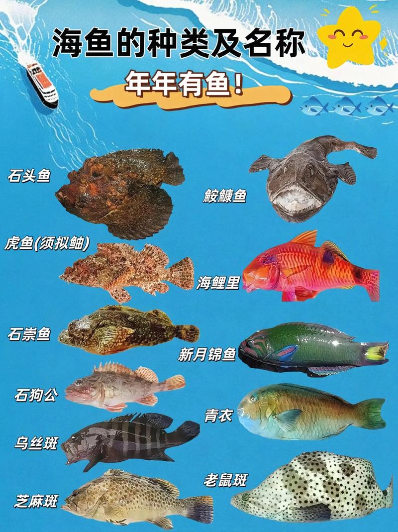 蓝眼皇冠豹饲养/蓝眼皇冠豹和清道夫-第9张图片 蓝眼皇冠豹饲养/蓝眼皇冠豹和清道夫-第9张图片