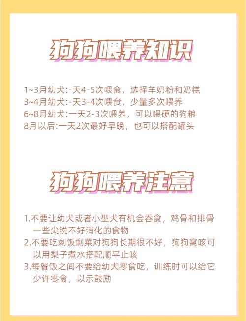 狗狗吃饱的表现-狗狗吃饱了是否就不吃了-第4张图片 狗狗吃饱的表现-狗狗吃饱了是否就不吃了-第4张图片