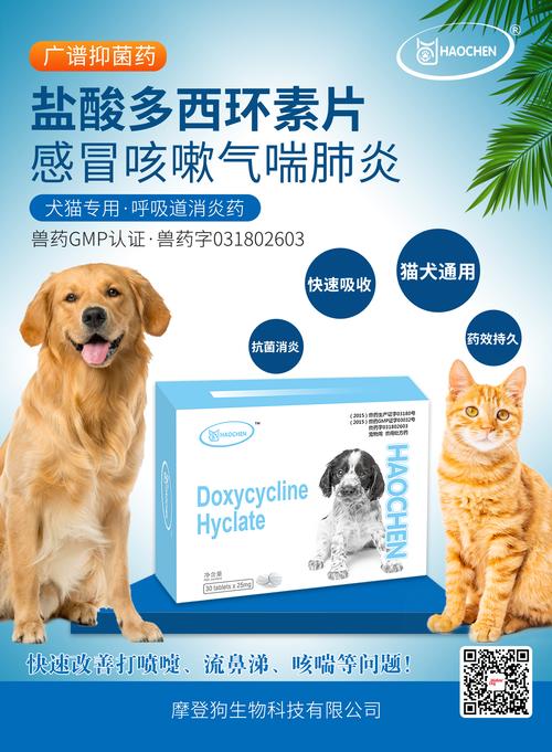 狗感冒吃什么药才好-狗狗感冒吃什么药啊-第3张图片 狗感冒吃什么药才好-狗狗感冒吃什么药啊-第3张图片