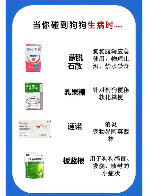 狗感冒吃什么药才好-狗狗感冒吃什么药啊-第7张图片 狗感冒吃什么药才好-狗狗感冒吃什么药啊-第7张图片