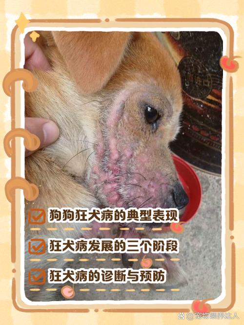 作为消费者“狂犬病的早期症状”你不能不知道-第2张图片 作为消费者“狂犬病的早期症状”你不能不知道-第2张图片