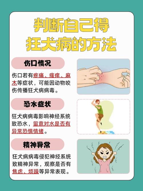 作为消费者“狂犬病的早期症状”你不能不知道-第5张图片 作为消费者“狂犬病的早期症状”你不能不知道-第5张图片