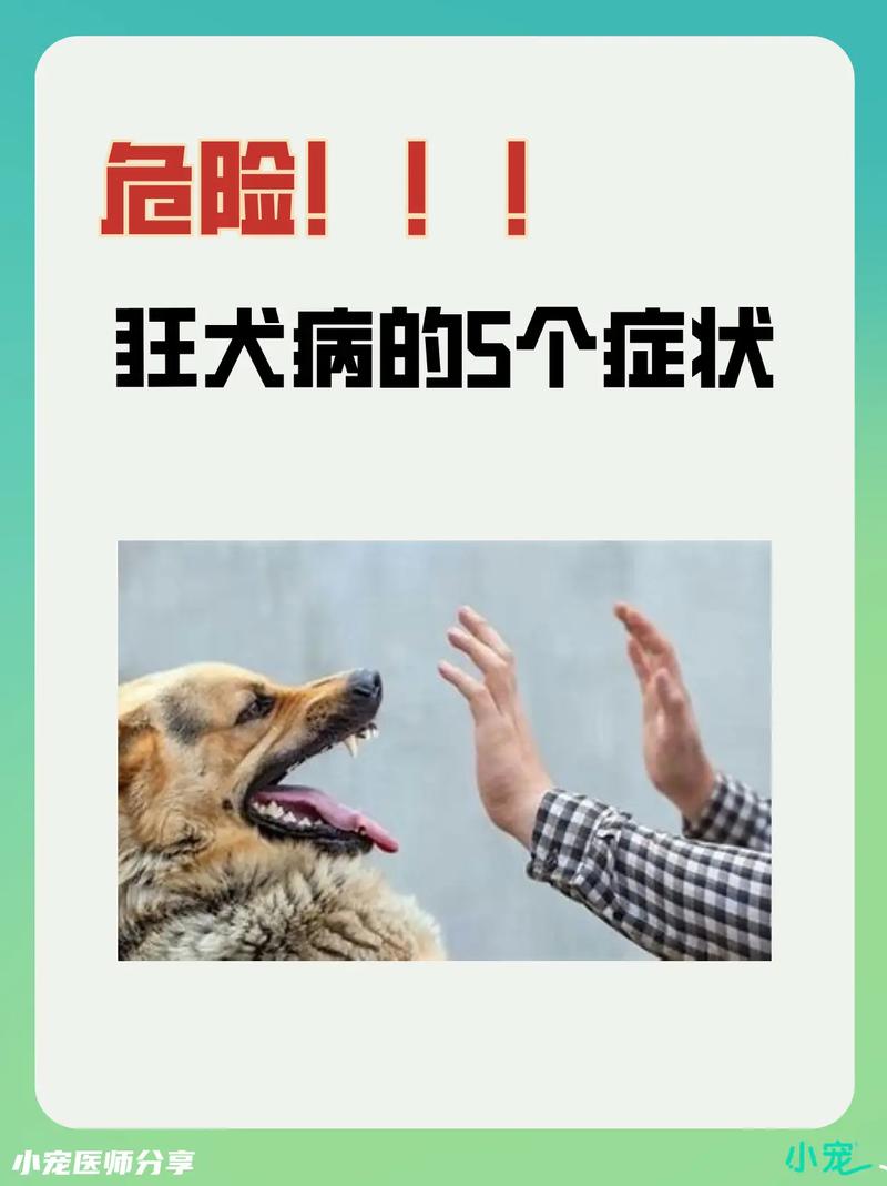 作为消费者“狂犬病的早期症状”你不能不知道-第7张图片 作为消费者“狂犬病的早期症状”你不能不知道-第7张图片