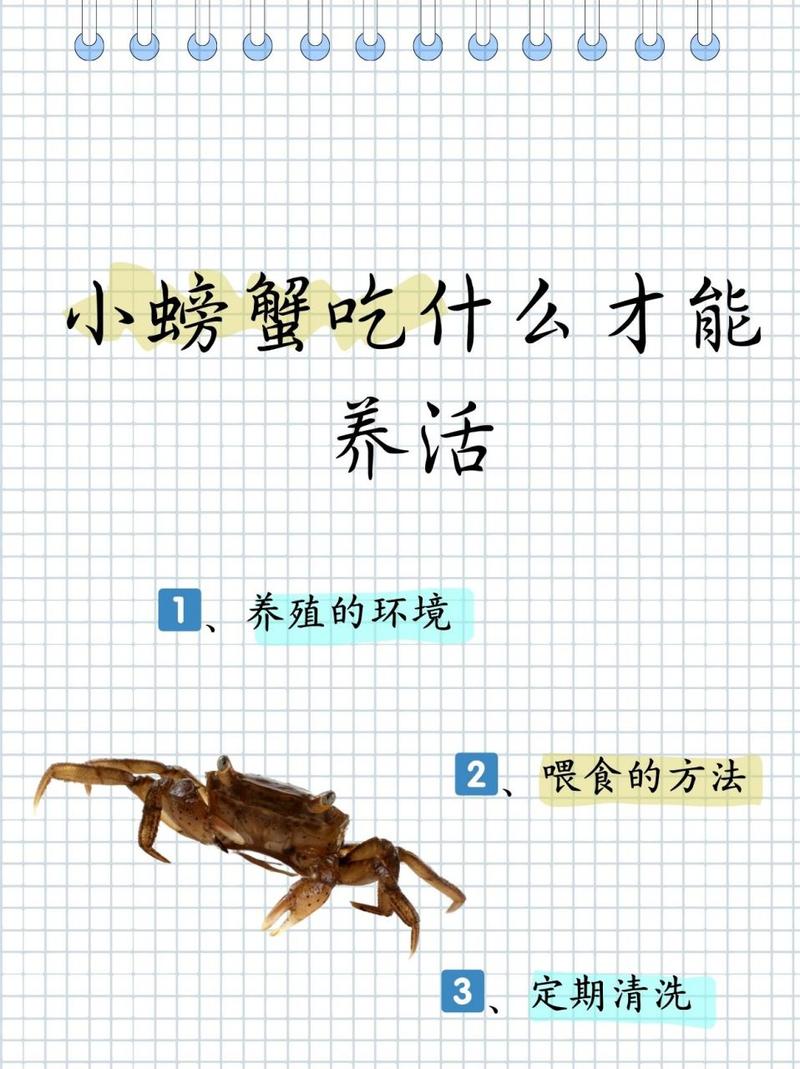 螃蟹吃什么-螃蟹吃什么食物好养活-第3张图片 螃蟹吃什么-螃蟹吃什么食物好养活-第3张图片