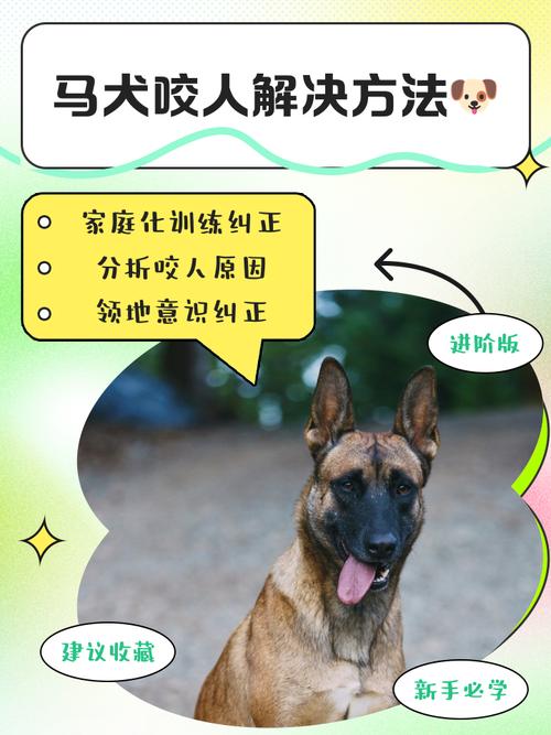 作为消费者“马犬会不会乱咬人”你不能不知道-第4张图片 作为消费者“马犬会不会乱咬人”你不能不知道-第4张图片