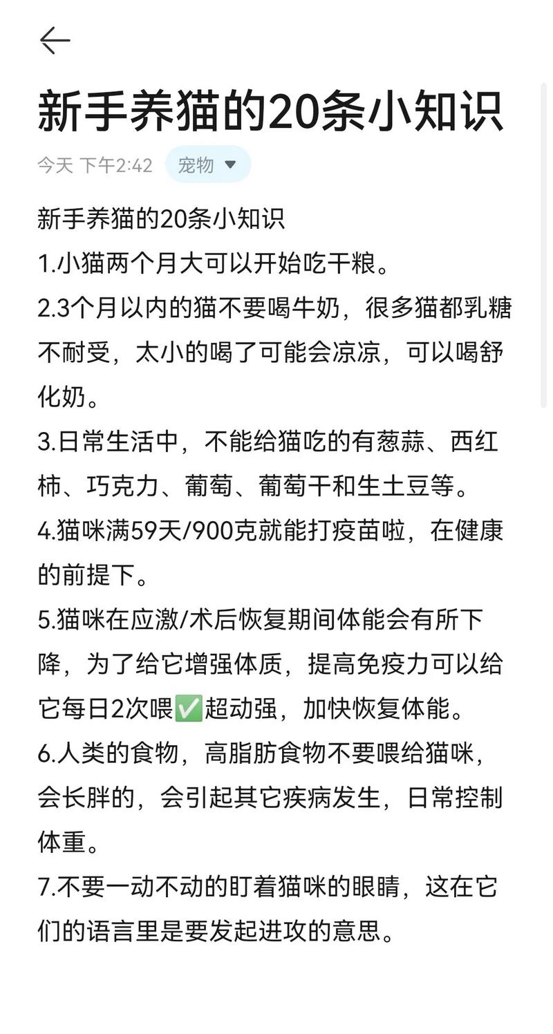 两个多月的猫咪吃什么-2个月的猫猫吃什么-第3张图片 两个多月的猫咪吃什么-2个月的猫猫吃什么-第3张图片
