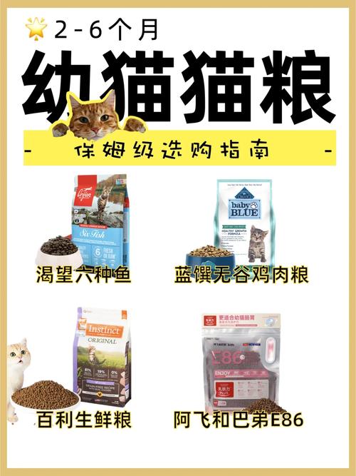 两个多月的猫咪吃什么-2个月的猫猫吃什么-第5张图片 两个多月的猫咪吃什么-2个月的猫猫吃什么-第5张图片