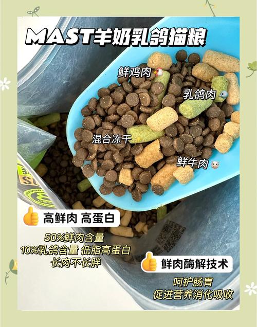 两个多月的猫咪吃什么-2个月的猫猫吃什么-第6张图片 两个多月的猫咪吃什么-2个月的猫猫吃什么-第6张图片