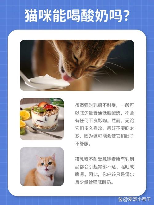 解析“猫咪能吃酸奶吗”你不知道的事-第6张图片 解析“猫咪能吃酸奶吗”你不知道的事-第6张图片