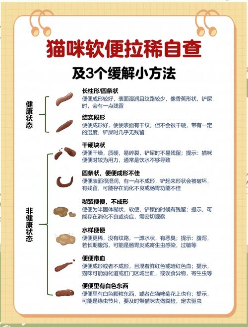 猫咪吃了驱虫药拉稀-猫咪吃了驱虫药拉稀几天能好-第6张图片 猫咪吃了驱虫药拉稀-猫咪吃了驱虫药拉稀几天能好-第6张图片