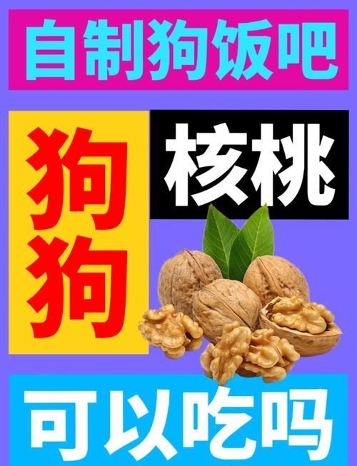 核桃狗狗能吃吗/狗能吃核桃呢-第2张图片 核桃狗狗能吃吗/狗能吃核桃呢-第2张图片