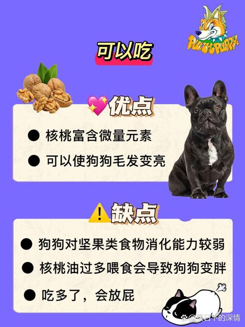 核桃狗狗能吃吗/狗能吃核桃呢-第3张图片 核桃狗狗能吃吗/狗能吃核桃呢-第3张图片