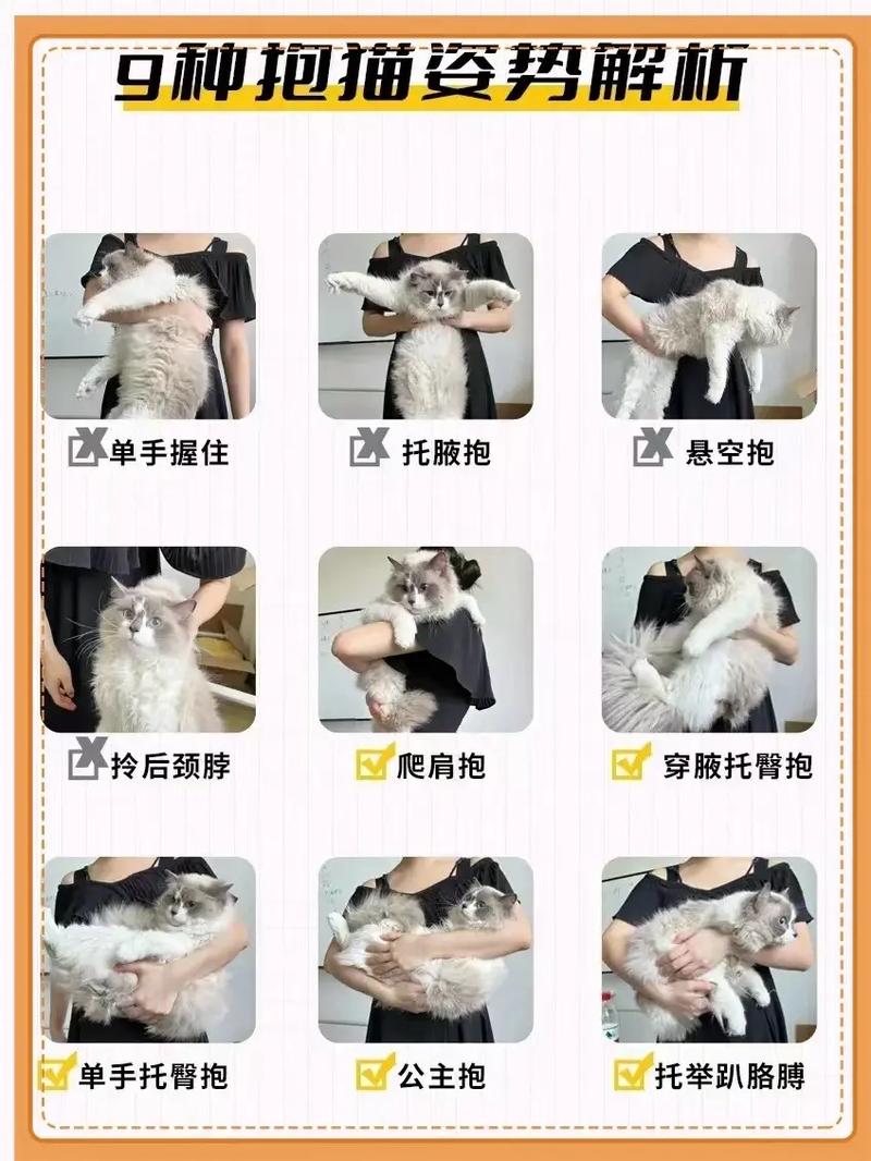 猫咪为什么摇尾巴/猫咪为什么爱摇尾巴-第6张图片 猫咪为什么摇尾巴/猫咪为什么爱摇尾巴-第6张图片