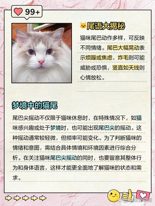 猫咪为什么摇尾巴/猫咪为什么爱摇尾巴-第8张图片 猫咪为什么摇尾巴/猫咪为什么爱摇尾巴-第8张图片