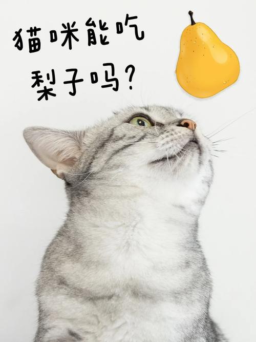 解析“猫可以吃梨吗”你不知道的事-第1张图片 解析“猫可以吃梨吗”你不知道的事-第1张图片