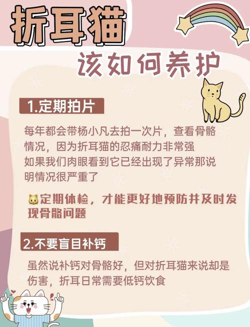 解析“猫可以吃梨吗”你不知道的事-第7张图片 解析“猫可以吃梨吗”你不知道的事-第7张图片