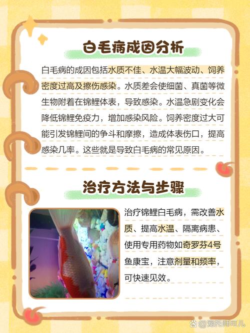 解析“红剑鱼白毛病用什么药治疗”你不知道的事-第1张图片 解析“红剑鱼白毛病用什么药治疗”你不知道的事-第1张图片