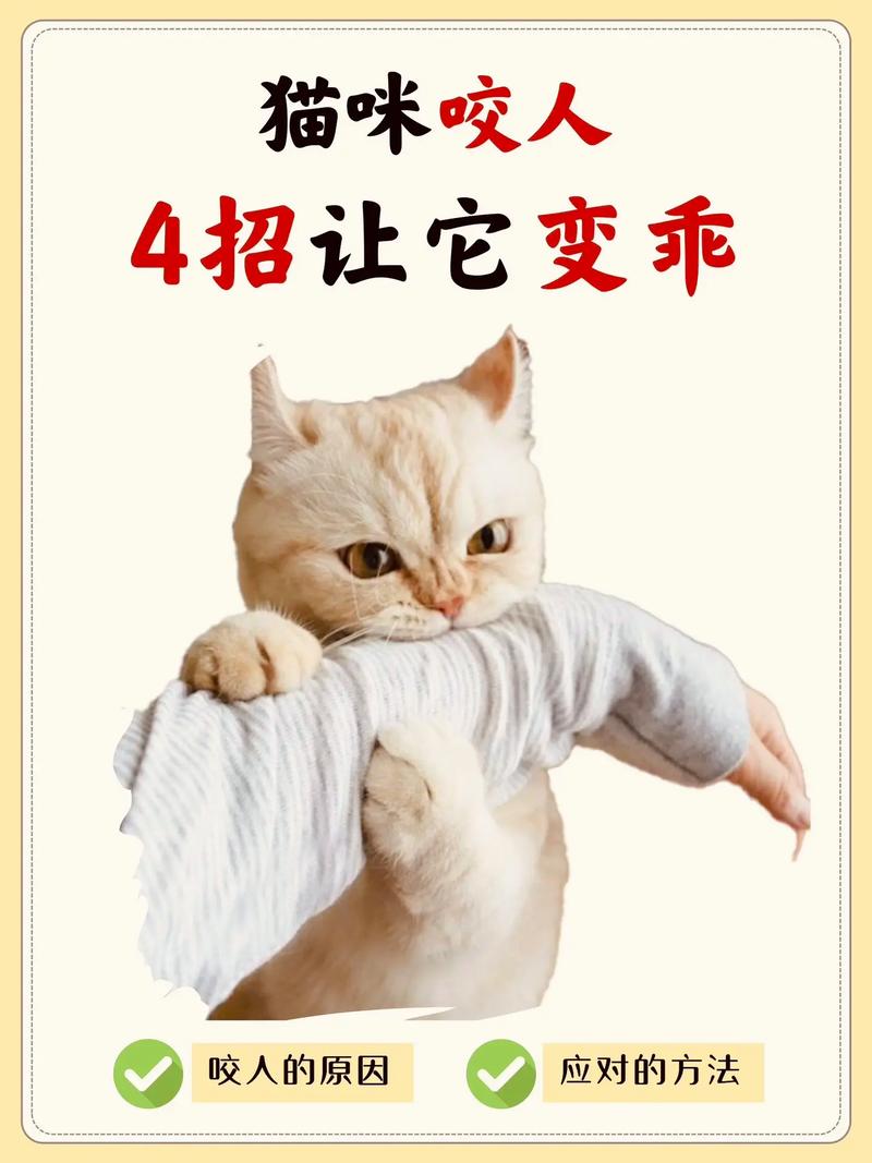 小猫咬人/小猫咬人怎么纠正-第4张图片 小猫咬人/小猫咬人怎么纠正-第4张图片