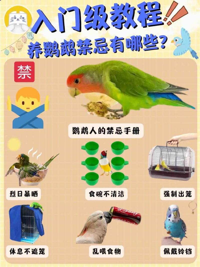作为消费者“红腰鹦鹉可以家养吗”你不能不知道-第6张图片 作为消费者“红腰鹦鹉可以家养吗”你不能不知道-第6张图片