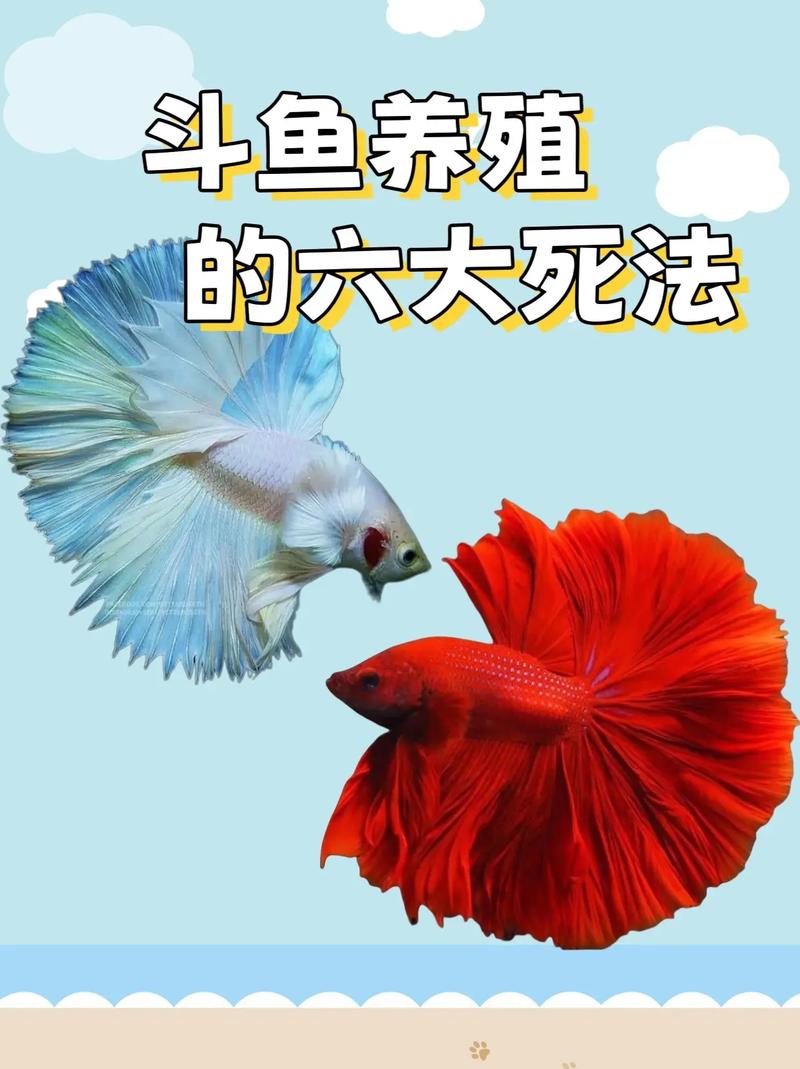 撑死-撑死的僵尸-第4张图片 撑死-撑死的僵尸-第4张图片