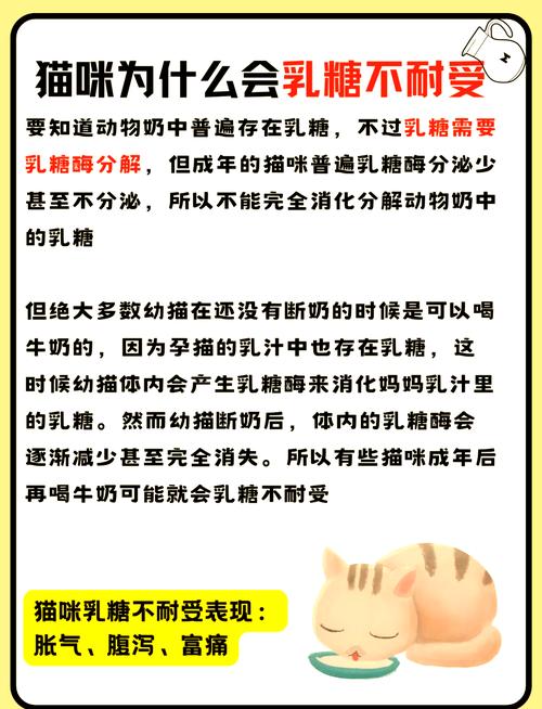 小猫咪可以喝牛奶吗/小猫可以喝牛奶嘛-第1张图片 小猫咪可以喝牛奶吗/小猫可以喝牛奶嘛-第1张图片