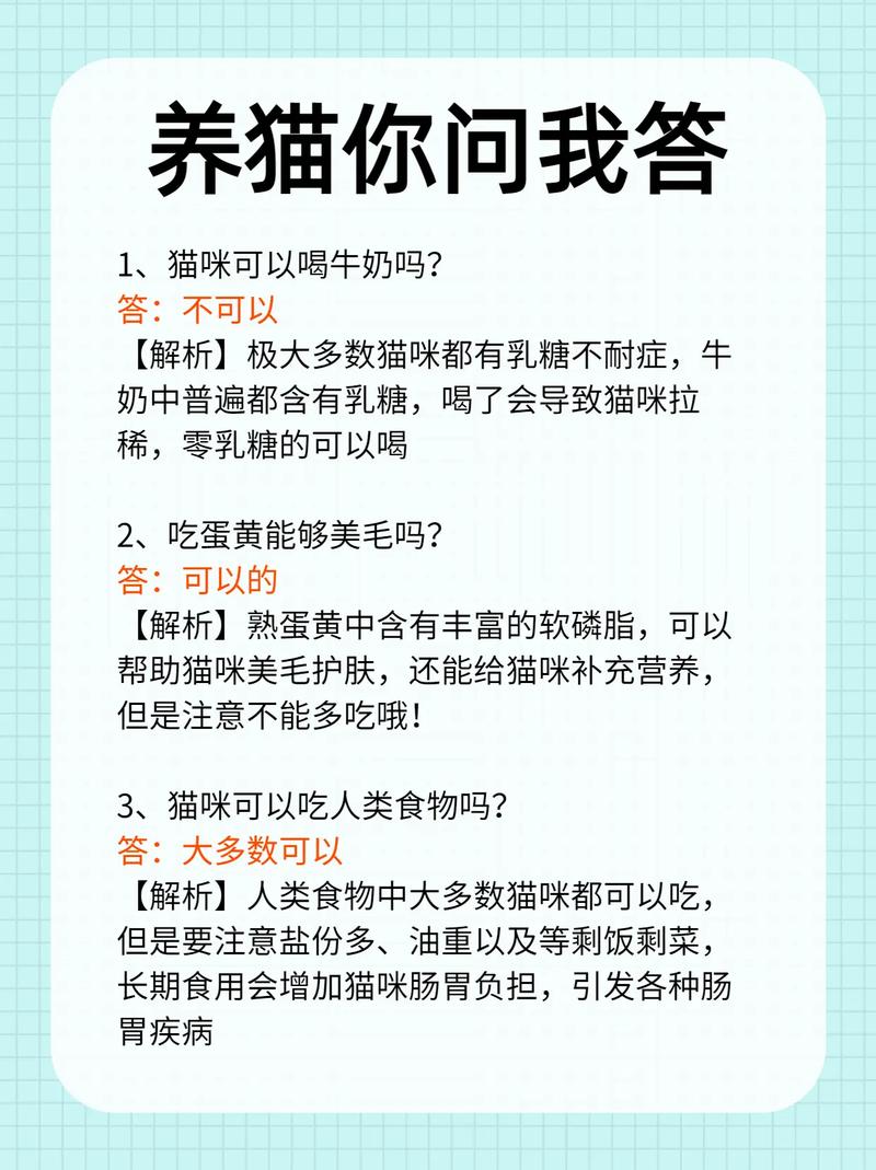 小猫咪可以喝牛奶吗/小猫可以喝牛奶嘛-第2张图片 小猫咪可以喝牛奶吗/小猫可以喝牛奶嘛-第2张图片