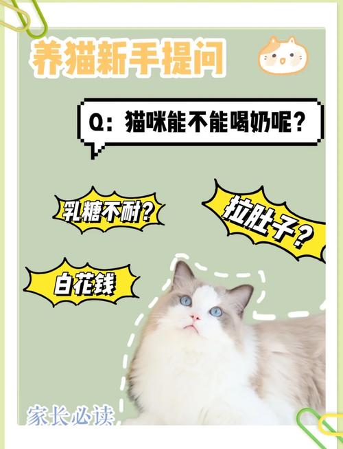小猫咪可以喝牛奶吗/小猫可以喝牛奶嘛-第6张图片 小猫咪可以喝牛奶吗/小猫可以喝牛奶嘛-第6张图片