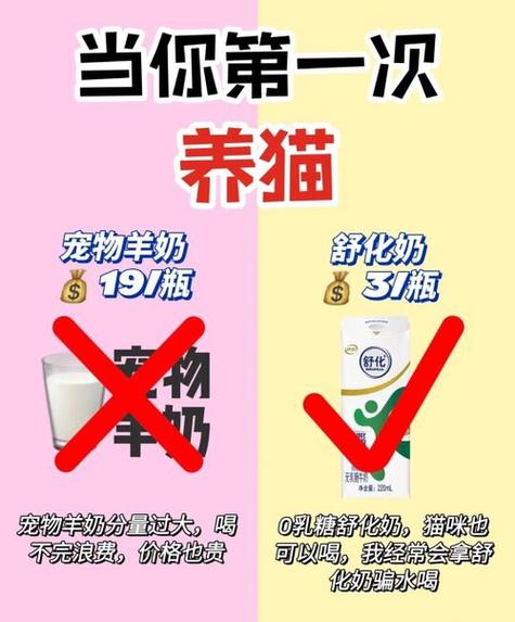 小猫咪可以喝牛奶吗/小猫可以喝牛奶嘛-第7张图片 小猫咪可以喝牛奶吗/小猫可以喝牛奶嘛-第7张图片