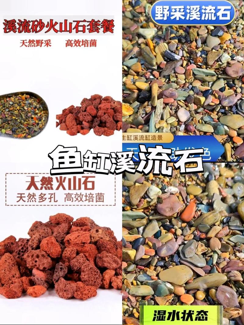 解析“七彩雷龙”你不知道的事-第5张图片 解析“七彩雷龙”你不知道的事-第5张图片
