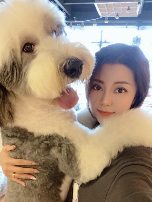 古牧熊猫眼,熊猫眼边牧长大之后是什么样子-第6张图片 古牧熊猫眼,熊猫眼边牧长大之后是什么样子-第6张图片