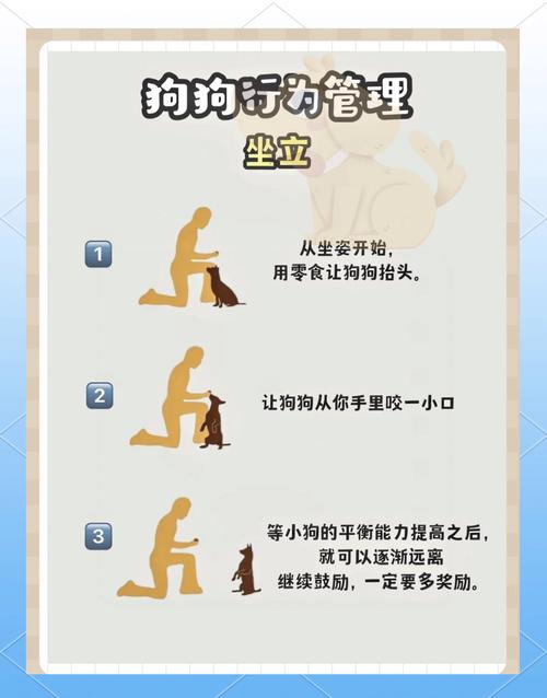解析“狗狗扑人该怎么训”你不知道的事-第4张图片 解析“狗狗扑人该怎么训”你不知道的事-第4张图片