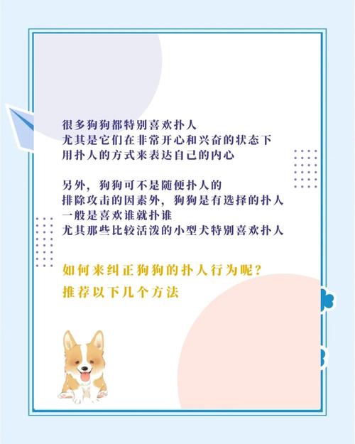 解析“狗狗扑人该怎么训”你不知道的事-第5张图片 解析“狗狗扑人该怎么训”你不知道的事-第5张图片