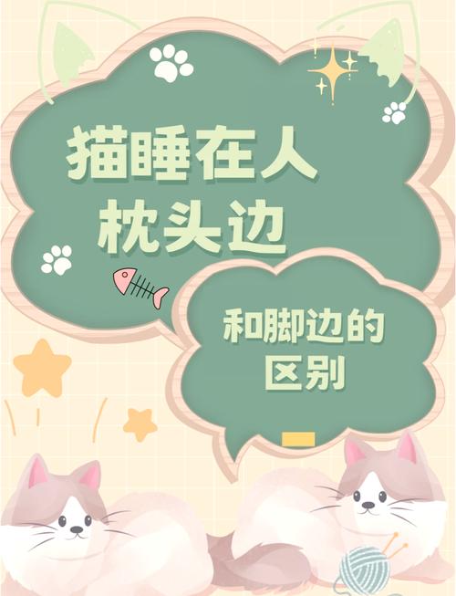 作为消费者“猫咪喜欢睡枕头原因”你不能不知道-第5张图片 作为消费者“猫咪喜欢睡枕头原因”你不能不知道-第5张图片