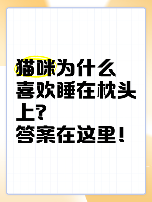 作为消费者“猫咪喜欢睡枕头原因”你不能不知道-第6张图片 作为消费者“猫咪喜欢睡枕头原因”你不能不知道-第6张图片