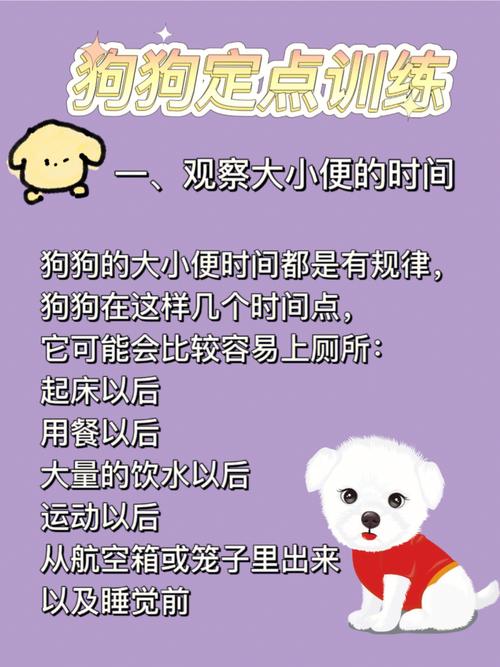 作为消费者“俊介狗怎么训练”你不能不知道-第1张图片 作为消费者“俊介狗怎么训练”你不能不知道-第1张图片
