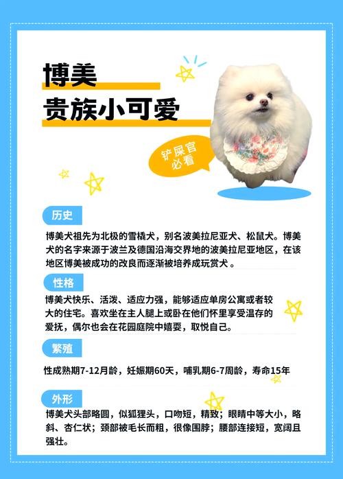 作为消费者“俊介狗怎么训练”你不能不知道-第5张图片 作为消费者“俊介狗怎么训练”你不能不知道-第5张图片