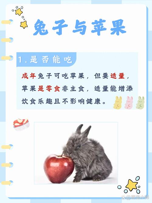 兔子可以吃苹果吗-兔子可以吃苹果吗为什么-第3张图片 兔子可以吃苹果吗-兔子可以吃苹果吗为什么-第3张图片