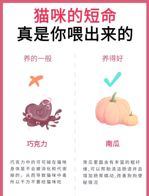 作为消费者“猫能吃柿子吗”你不能不知道