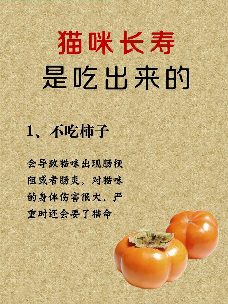 作为消费者“猫能吃柿子吗”你不能不知道-第2张图片 作为消费者“猫能吃柿子吗”你不能不知道-第2张图片