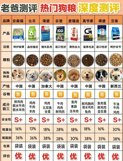 十斤的狗狗一天吃多少狗粮/十斤的狗狗一天吃多少狗粮啊-第4张图片 十斤的狗狗一天吃多少狗粮/十斤的狗狗一天吃多少狗粮啊-第4张图片
