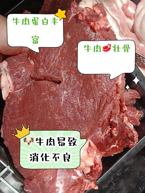 狗狗可以吃牛肉吗/狗狗可以吃牛肉吗煮熟的-第7张图片 狗狗可以吃牛肉吗/狗狗可以吃牛肉吗煮熟的-第7张图片