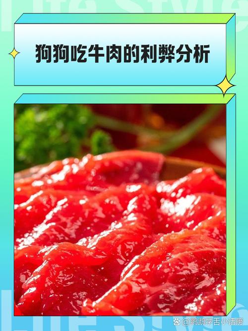 狗狗可以吃牛肉吗/狗狗可以吃牛肉吗煮熟的-第9张图片 狗狗可以吃牛肉吗/狗狗可以吃牛肉吗煮熟的-第9张图片