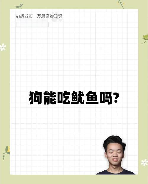 解析“狗可以吃鱿鱼吗”你不知道的事-第2张图片 解析“狗可以吃鱿鱼吗”你不知道的事-第2张图片
