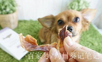 解析“狗可以吃鱿鱼吗”你不知道的事-第5张图片 解析“狗可以吃鱿鱼吗”你不知道的事-第5张图片