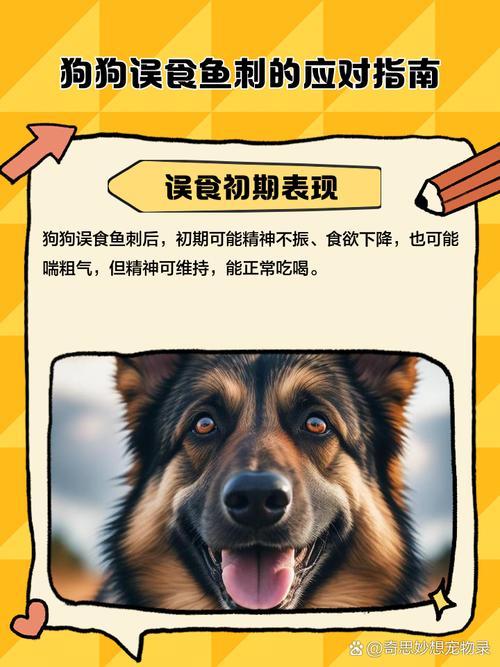 作为消费者“狗狗吃鱼刺卡了怎么办”你不能不知道-第3张图片 作为消费者“狗狗吃鱼刺卡了怎么办”你不能不知道-第3张图片