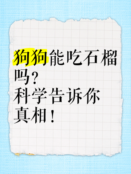 狗能吃番石榴吗-狗能吃番石榴吗?-第5张图片 狗能吃番石榴吗-狗能吃番石榴吗?-第5张图片