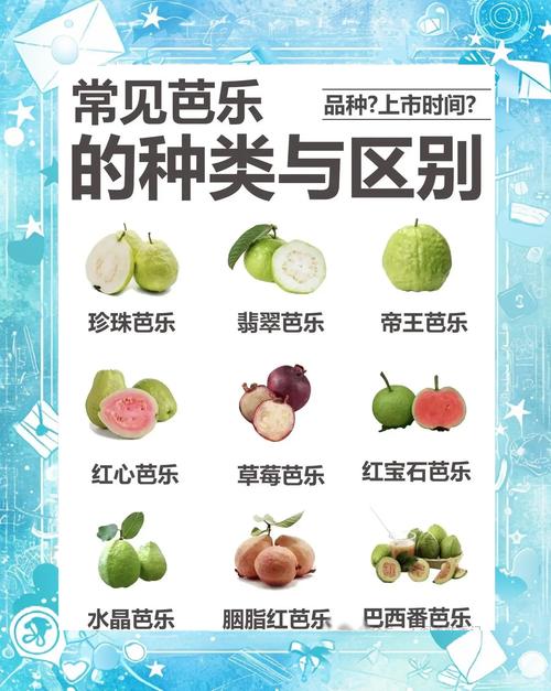 狗能吃番石榴吗-狗能吃番石榴吗?-第6张图片 狗能吃番石榴吗-狗能吃番石榴吗?-第6张图片
