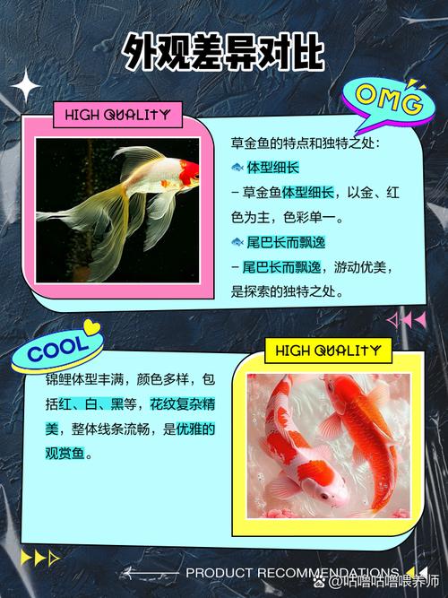 草金鱼和锦鲤哪个好养/草金鱼和锦鲤哪个漂亮-第4张图片 草金鱼和锦鲤哪个好养/草金鱼和锦鲤哪个漂亮-第4张图片
