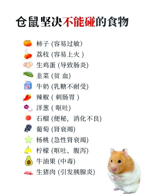 仓鼠能吃糖吗,仓鼠吃什么必死-第7张图片 仓鼠能吃糖吗,仓鼠吃什么必死-第7张图片