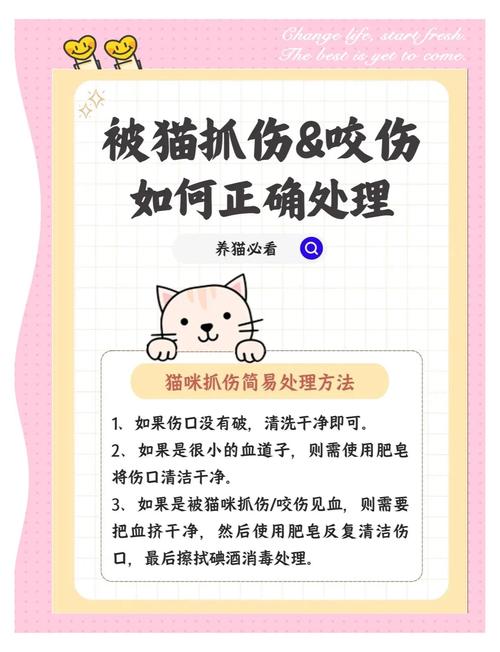 被猫咪抓出血了怎么办-被猫咪抓了出血了会不会有事-第8张图片 被猫咪抓出血了怎么办-被猫咪抓了出血了会不会有事-第8张图片